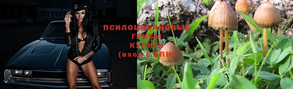 ешки Куйбышев
