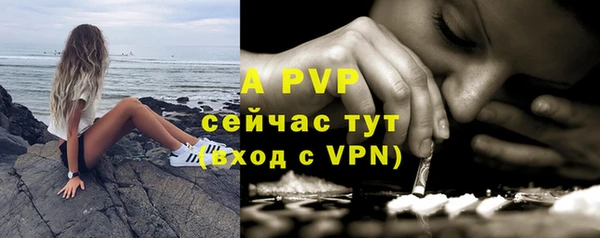 индика Верея