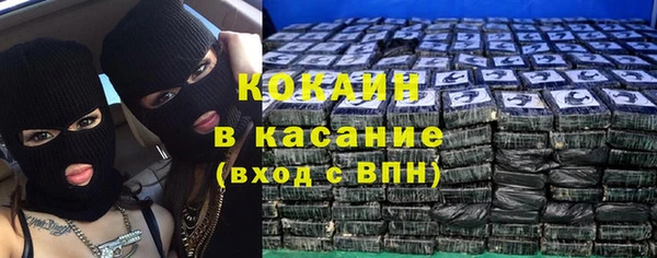 индика Верея
