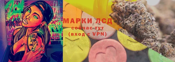 индика Верея
