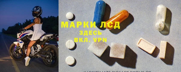 индика Верея