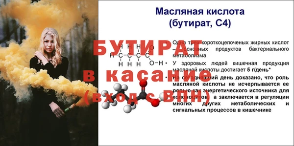 индика Верея
