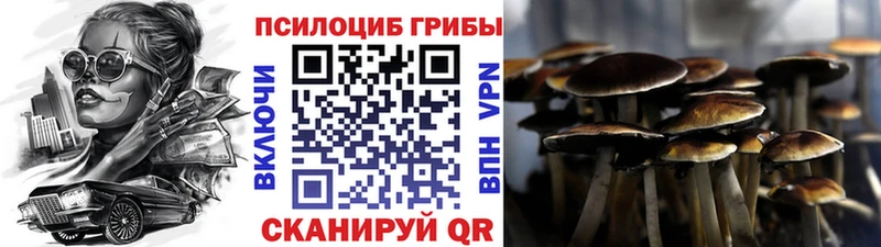 купить наркотик  Гаджиево  Галлюциногенные грибы мухоморы 